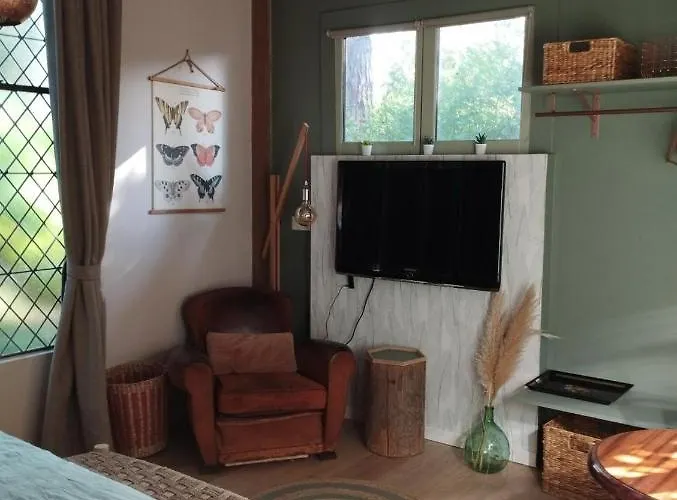 L Appentis Du Chai Roujan