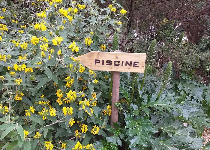 L Appentis Du Chai Roujan